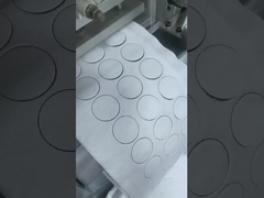 Βακτηριακή μεμβράνη φίλτρου